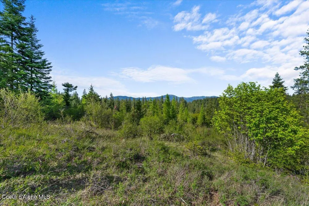 NKA Mutch Creek Road St. Maries, ID 83861