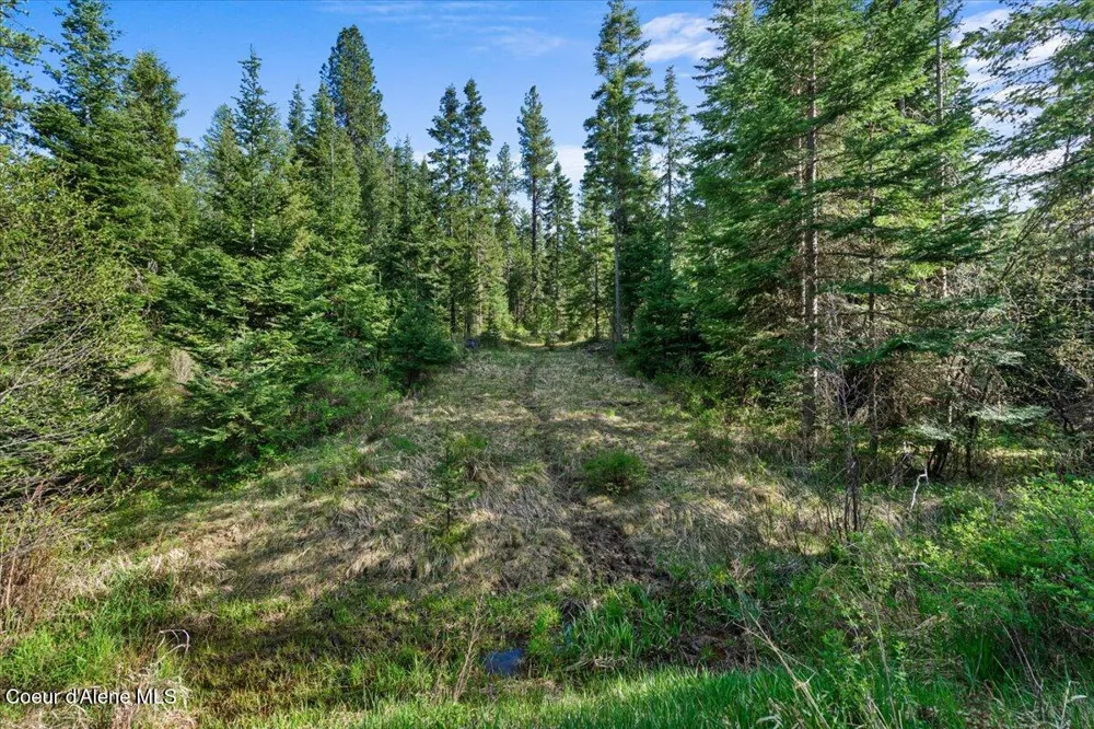 NKA Mutch Creek Road St. Maries, ID 83861