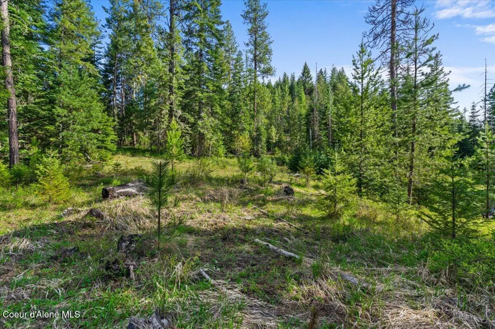 NKA Mutch Creek Road St. Maries, ID 83861