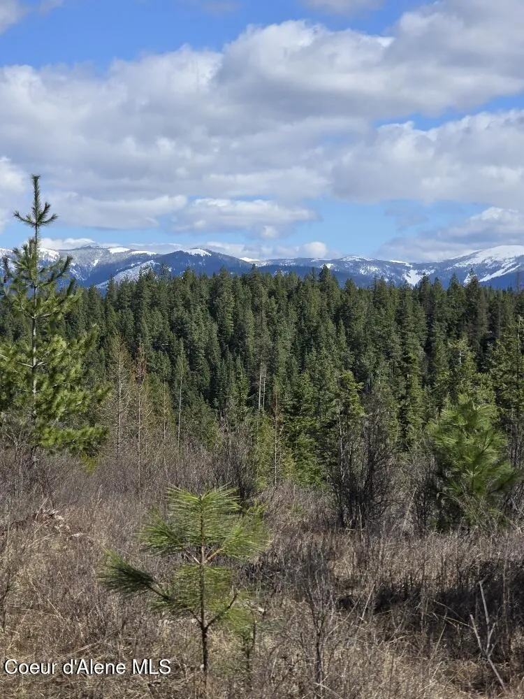NKA Mutch Creek Road St. Maries, ID 83861