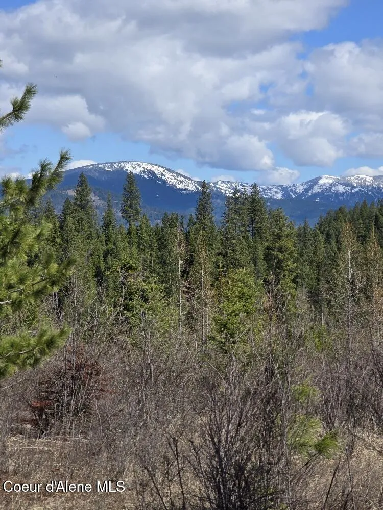 NKA Mutch Creek Road St. Maries, ID 83861