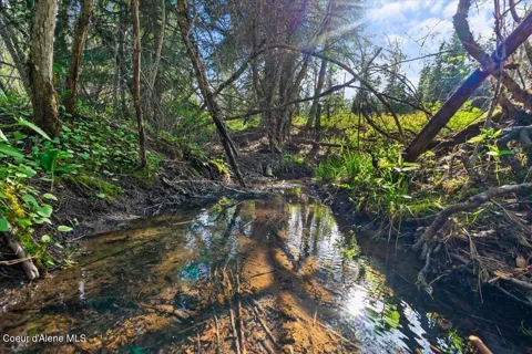 NKA Mutch Creek Road 8.3