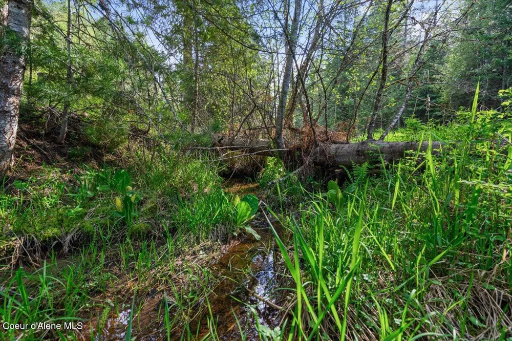 NKA Mutch Creek Road 8.3 St. Maries, ID 83861