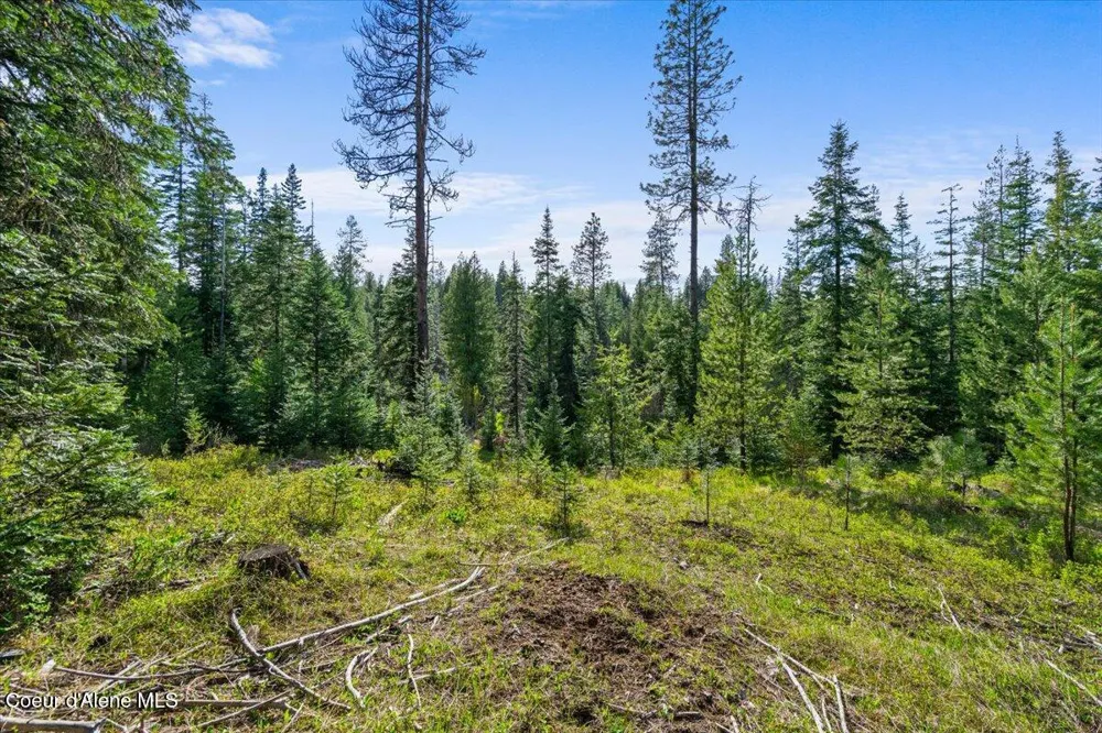 NKA Mutch Creek Road 8.3 St. Maries, ID 83861