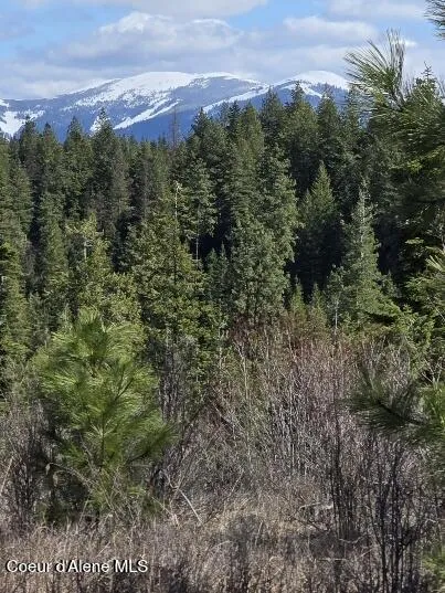 NKA Mutch Creek Road 8.3 St. Maries, ID 83861