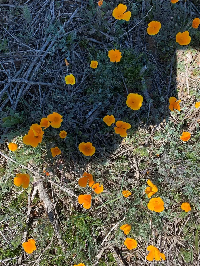 Niro Road Perris, CA 92570