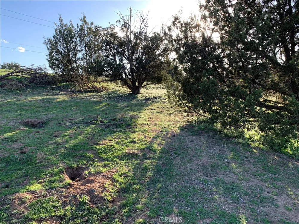 Niro Road Perris, CA 92570