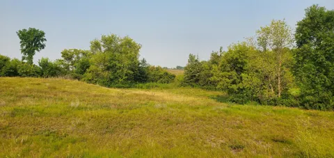 1006 Moon Glow Road