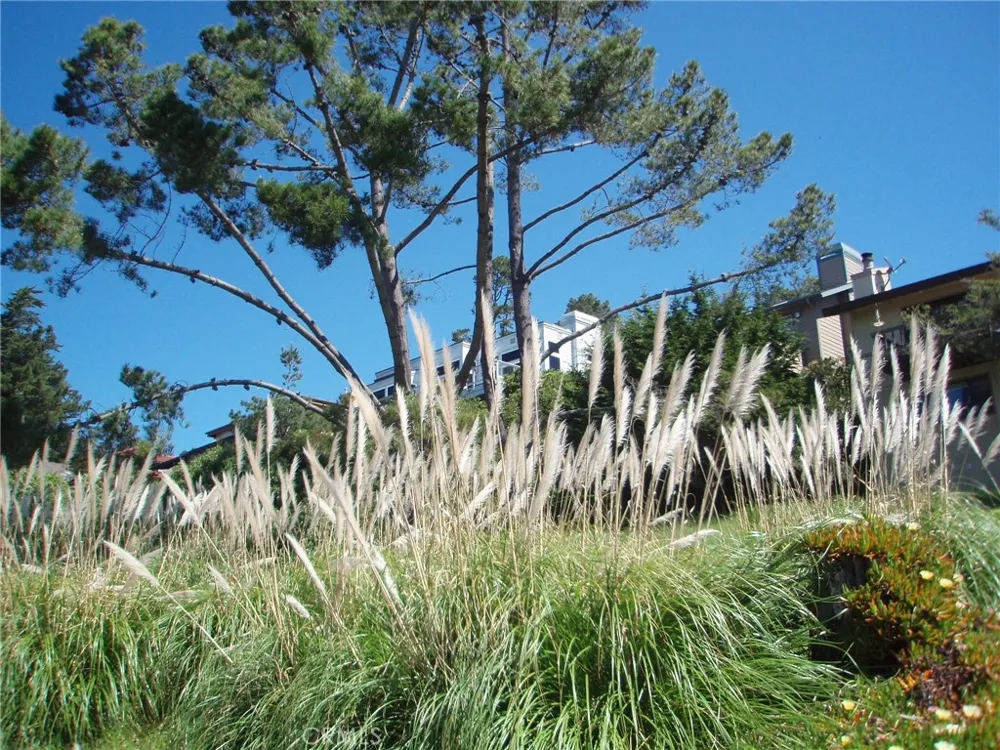1970 Emmons Road Cambria, CA 93428