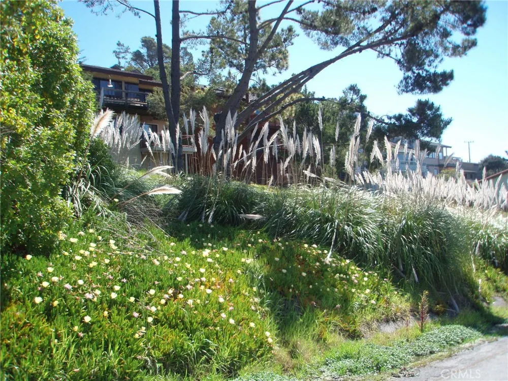 1970 Emmons Road Cambria, CA 93428
