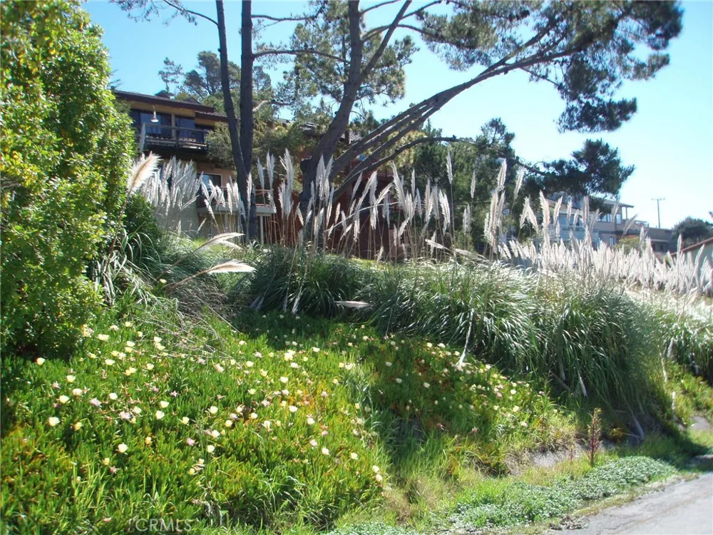1970 Emmons Road Cambria, CA 93428