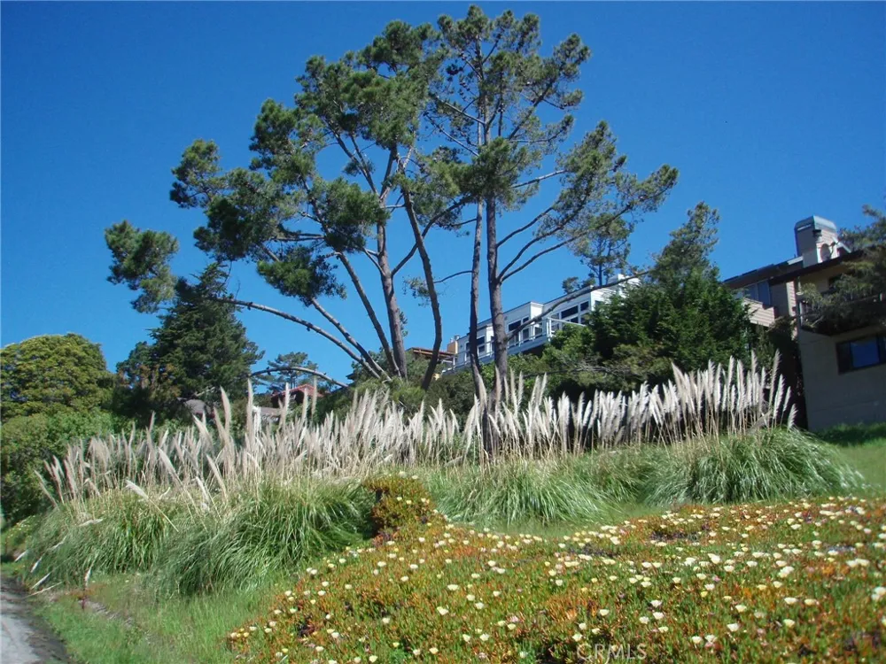 1970 Emmons Road Cambria, CA 93428