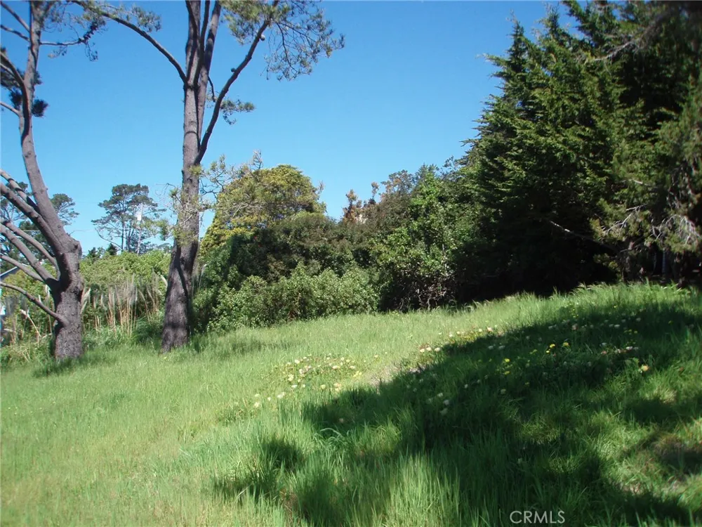 1970 Emmons Road Cambria, CA 93428