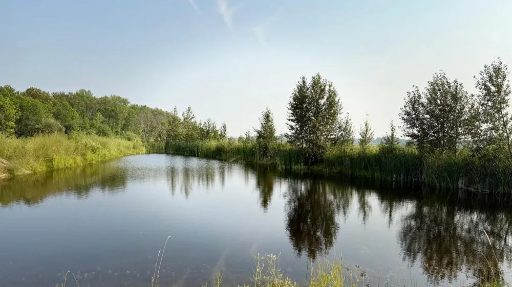 TBD5 Sunflower Road Kelliher, MN 56650