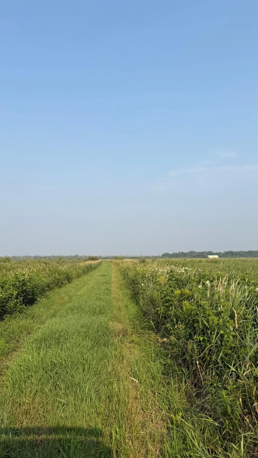 TBD5 Sunflower Road Kelliher, MN 56650