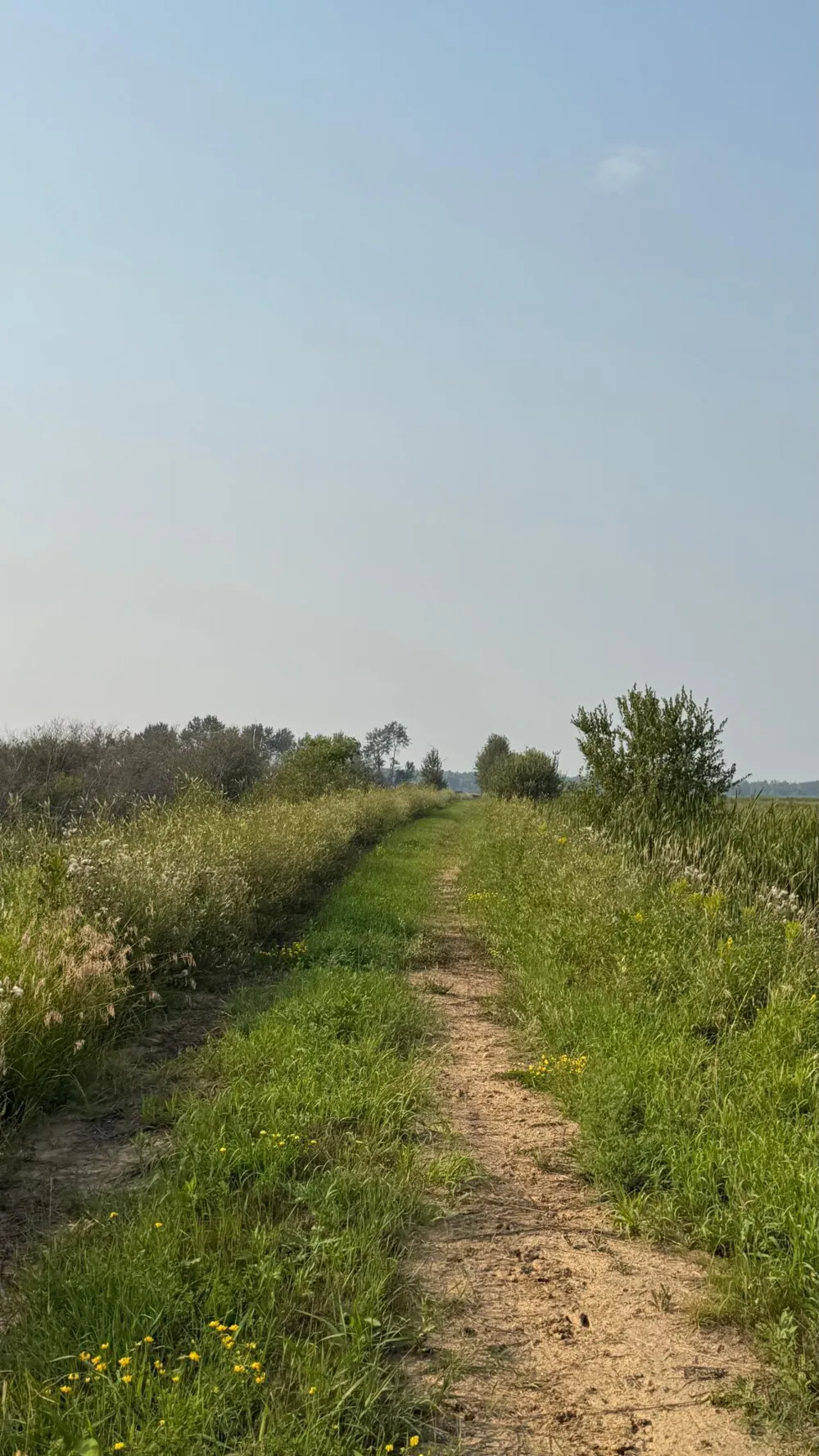 TBD5 Sunflower Road Kelliher, MN 56650