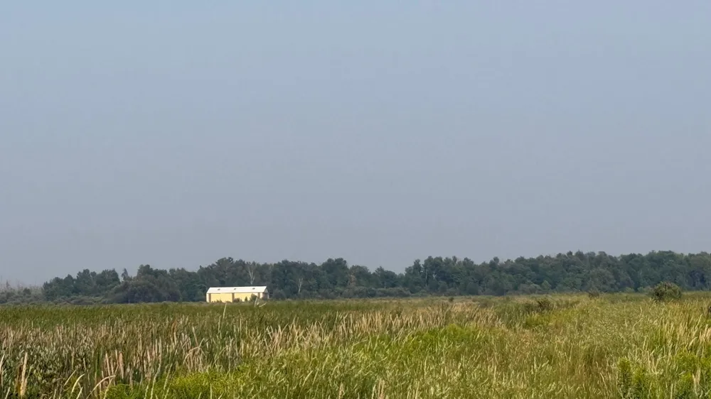 TBD5 Sunflower Road Kelliher, MN 56650