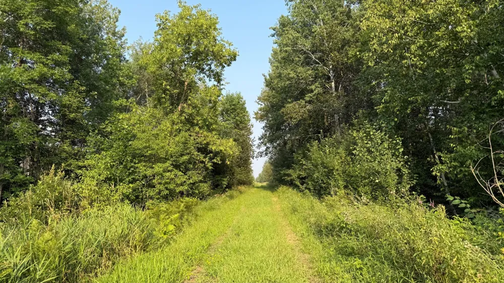 TBD5 Sunflower Road Kelliher, MN 56650