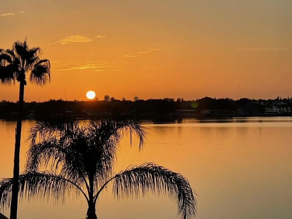 1893 SHORE DRIVE S #209 South Pasadena, FL 33707