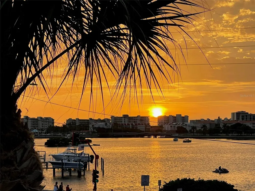 1893 SHORE DRIVE S #209 South Pasadena, FL 33707
