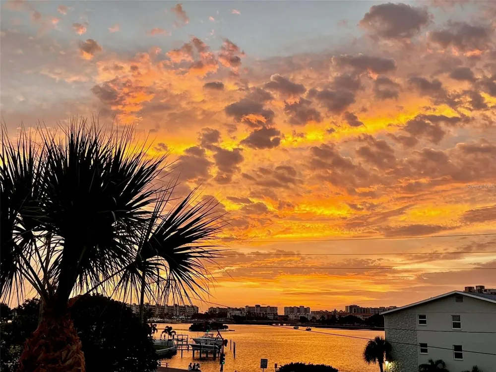 1893 SHORE DRIVE S #209 South Pasadena, FL 33707