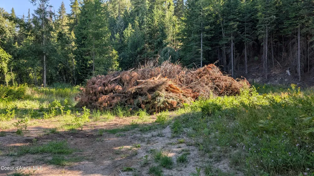 Tract 2 Deep Creak Loop Road Bonners Ferry, ID 83805