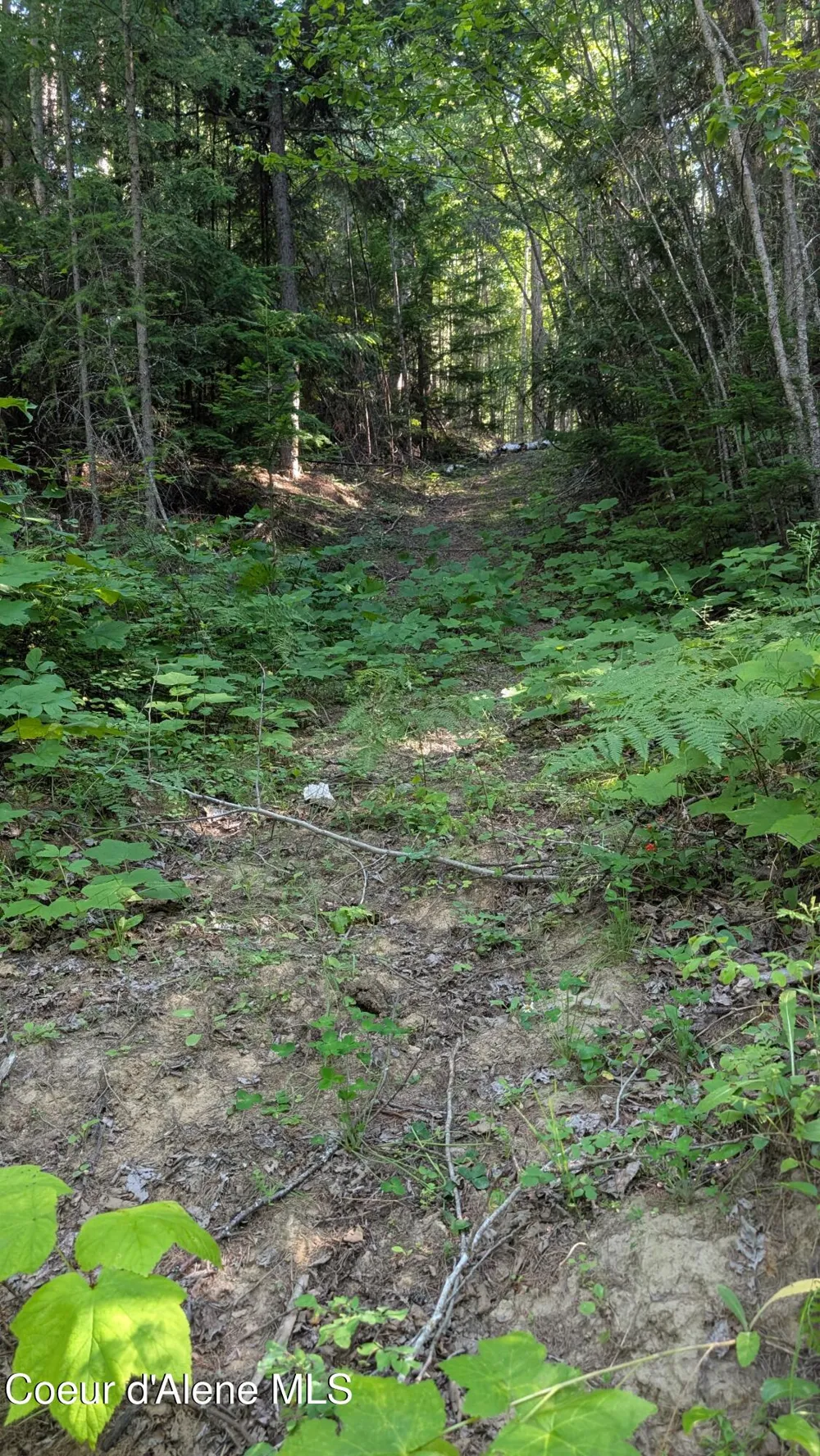 Tract 2 Deep Creak Loop Road Bonners Ferry, ID 83805