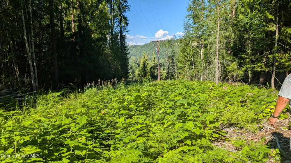 Tract 2 Deep Creak Loop Road Bonners Ferry, ID 83805