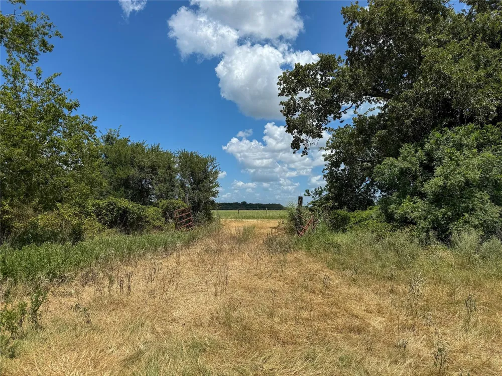Fm 413 Kosse, TX 76653