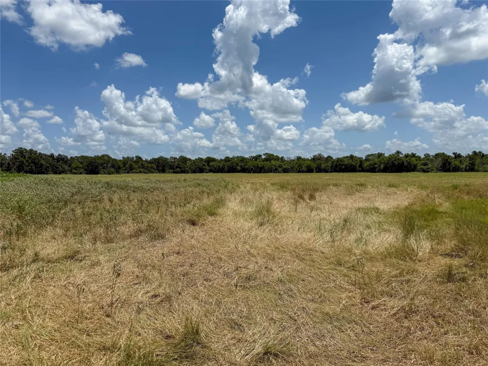 Fm 413 Kosse, TX 76653