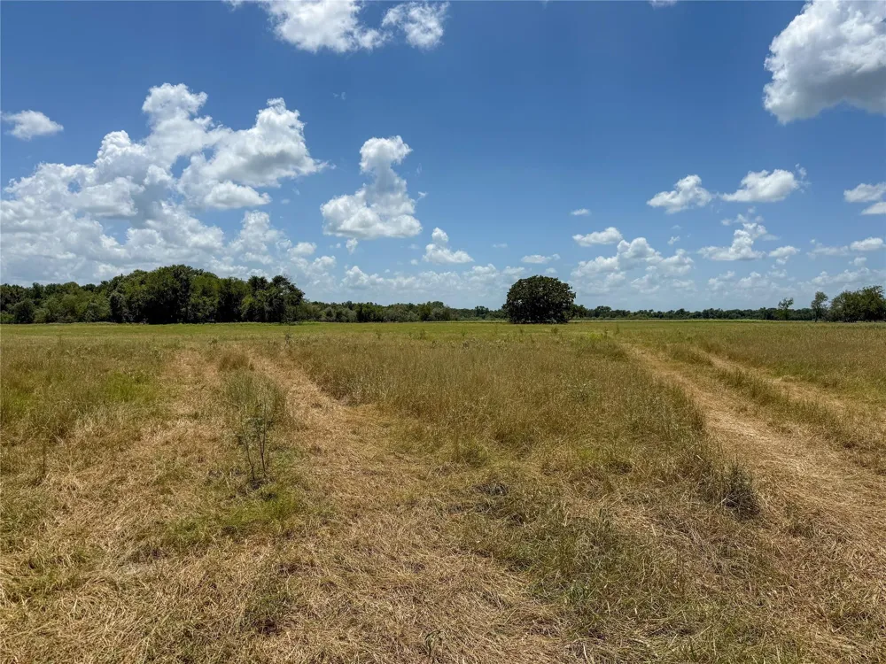 Fm 413 Kosse, TX 76653