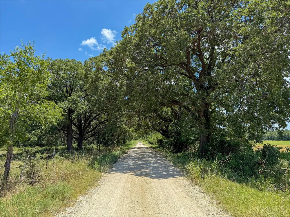 Fm 413 Kosse, TX 76653
