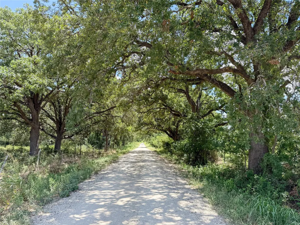 Fm 413 Kosse, TX 76653