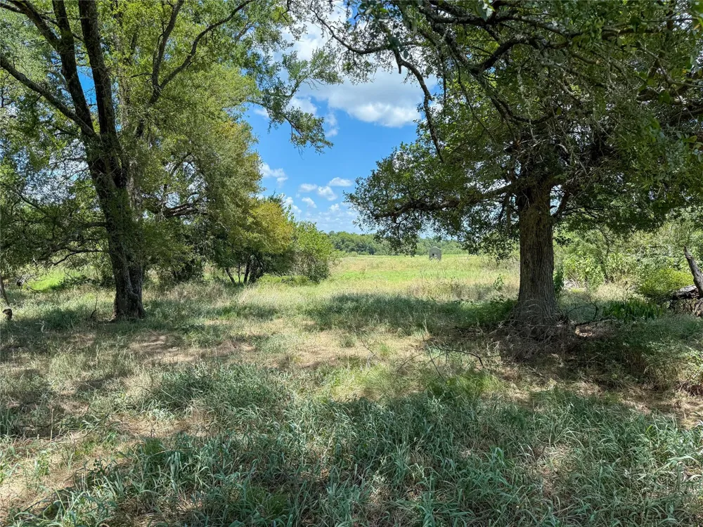 Fm 413 Kosse, TX 76653