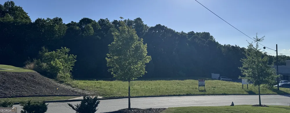 2342 Sparta WAY Braselton, GA 30519