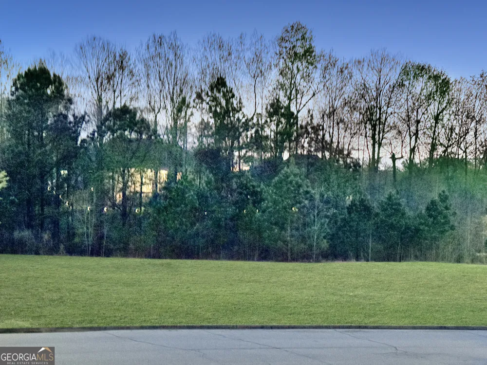 2342 Sparta WAY Braselton, GA 30519