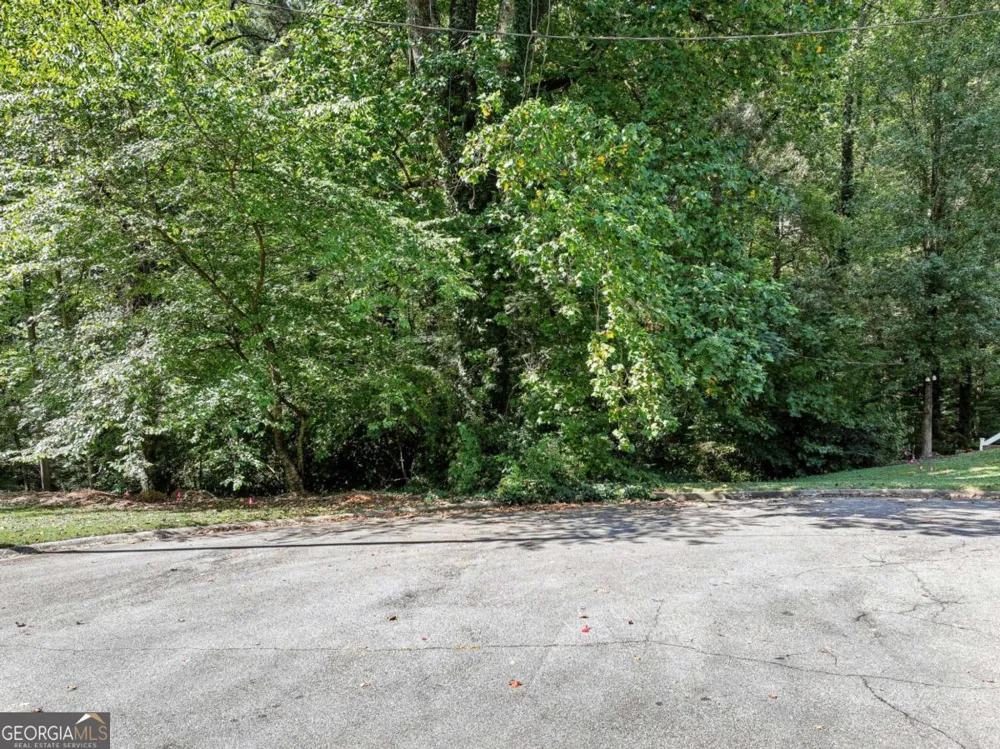 1736 Seneca CT SE Smyrna, GA 30080
