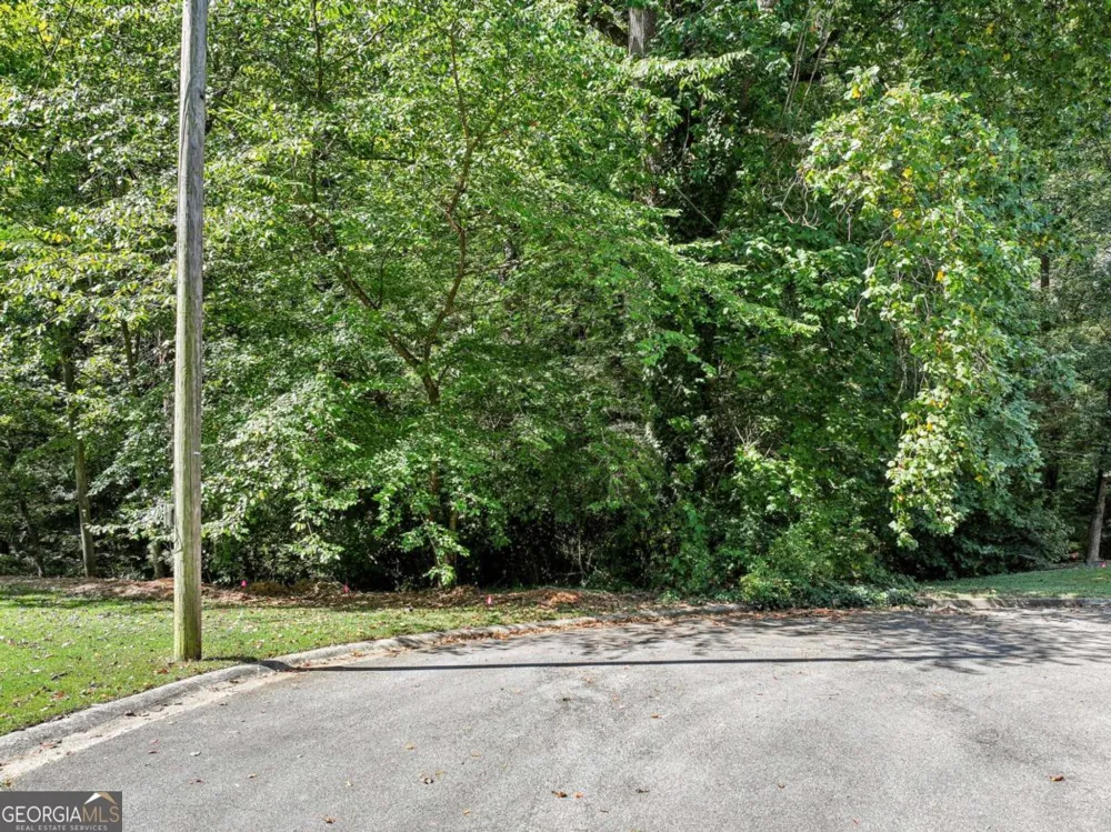 1736 Seneca CT SE Smyrna, GA 30080