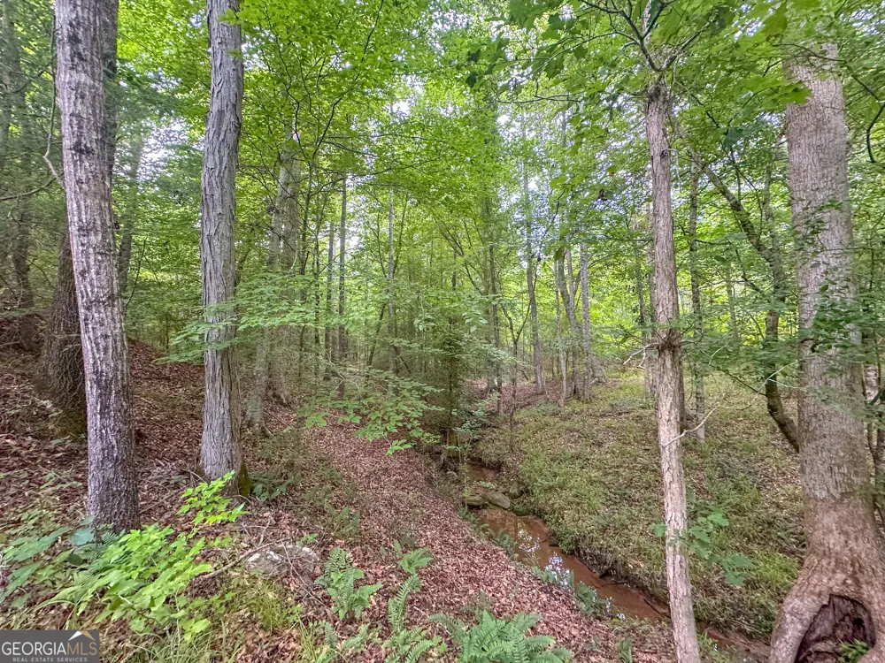 3644-3792 Fortune Hole RD Hamilton, GA 31811