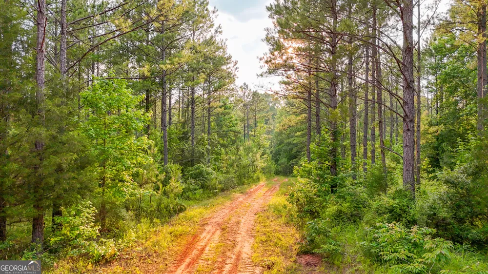 3644-3792 Fortune Hole RD Hamilton, GA 31811