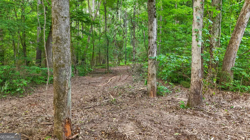 3644-3792 Fortune Hole RD Hamilton, GA 31811