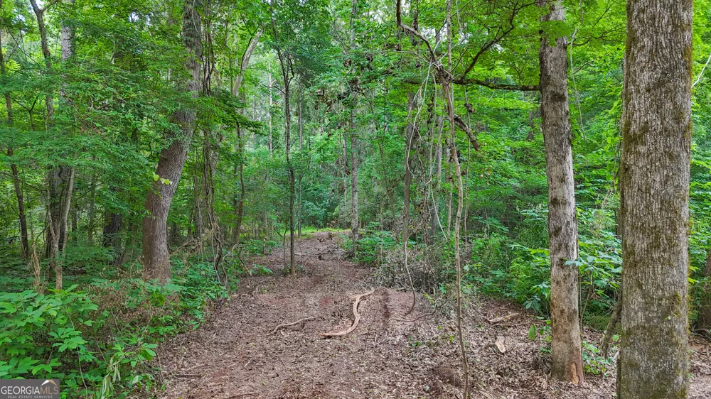 3644-3792 Fortune Hole RD Hamilton, GA 31811