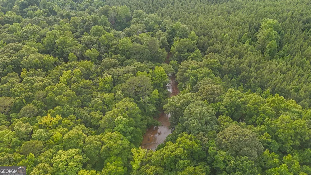 3644-3792 Fortune Hole RD Hamilton, GA 31811