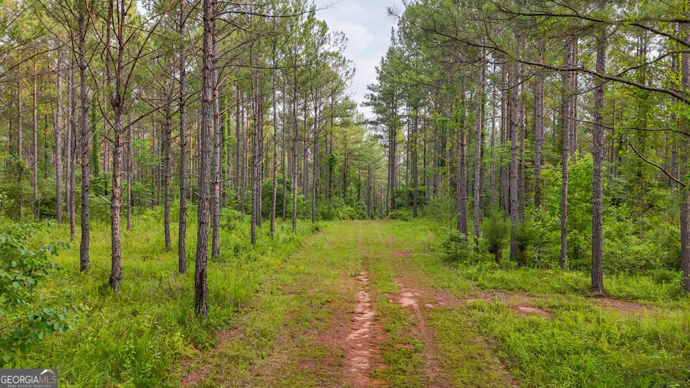 3644-3792 Fortune Hole RD Hamilton, GA 31811