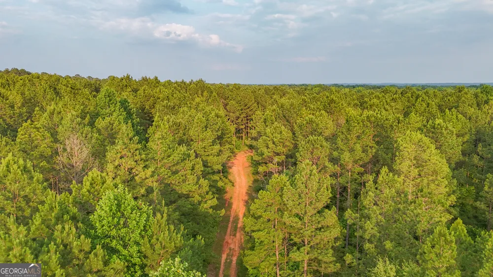 3644-3792 Fortune Hole RD Hamilton, GA 31811