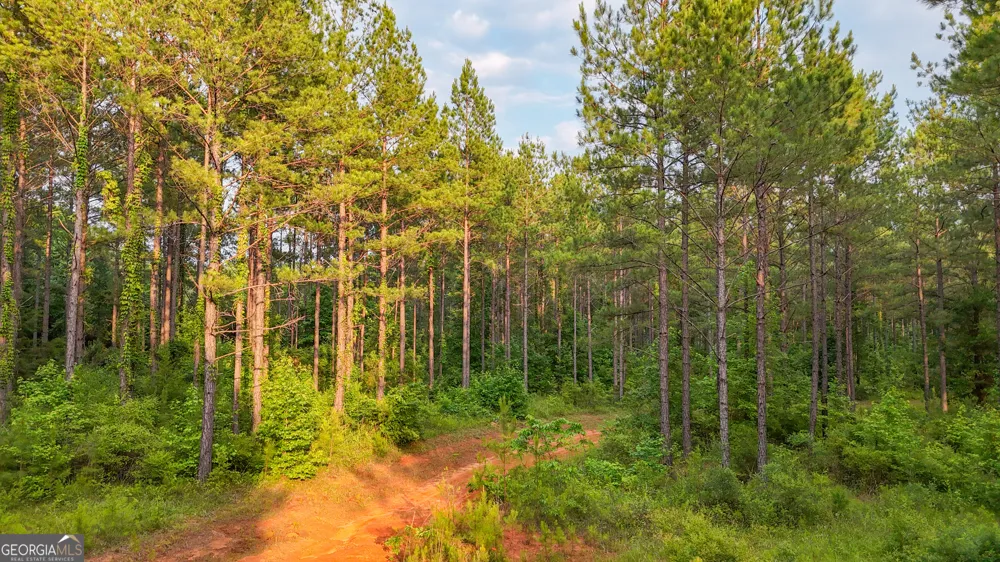 3644-3792 Fortune Hole RD Hamilton, GA 31811