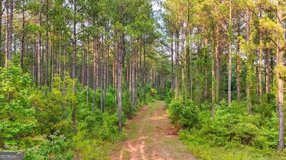 3644-3792 Fortune Hole RD Hamilton, GA 31811