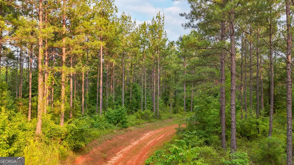 3644-3792 Fortune Hole RD Hamilton, GA 31811
