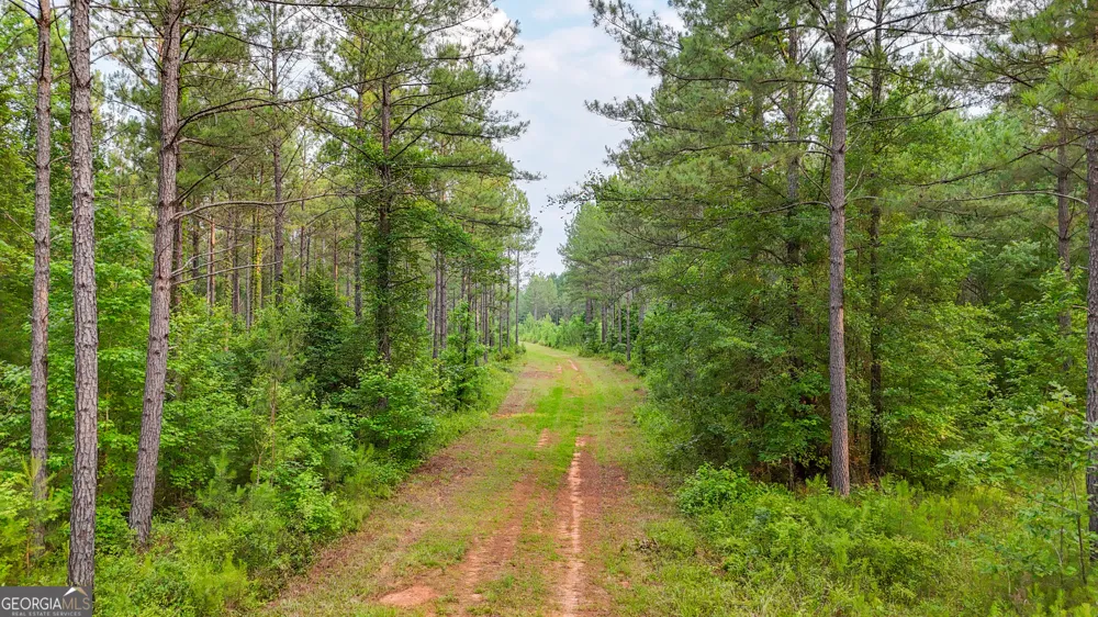 3644-3792 Fortune Hole RD Hamilton, GA 31811
