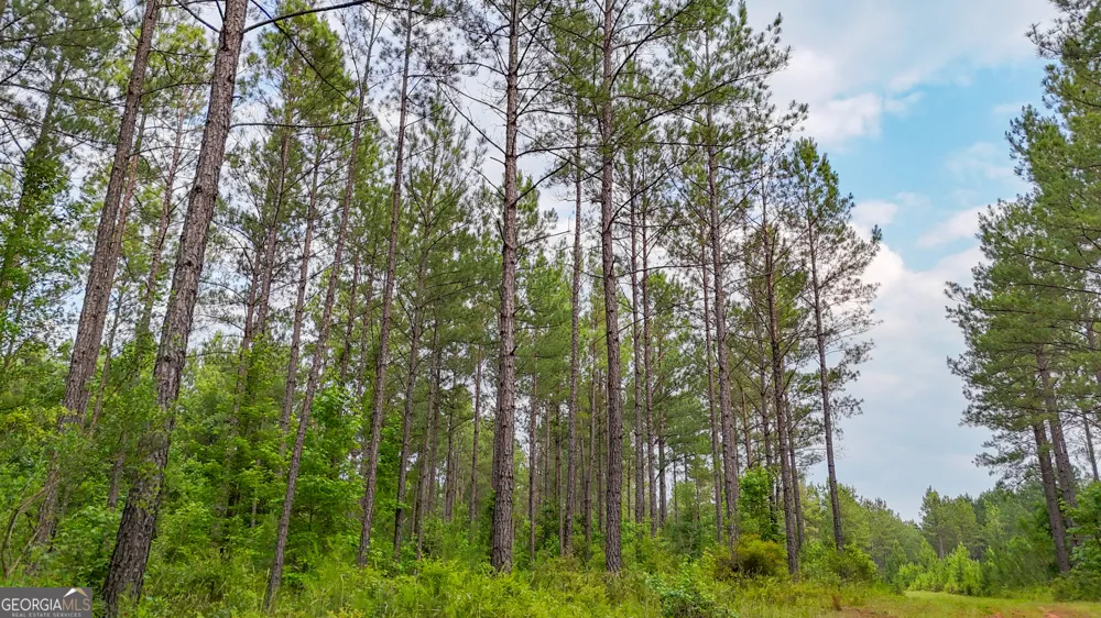 3644-3792 Fortune Hole RD Hamilton, GA 31811